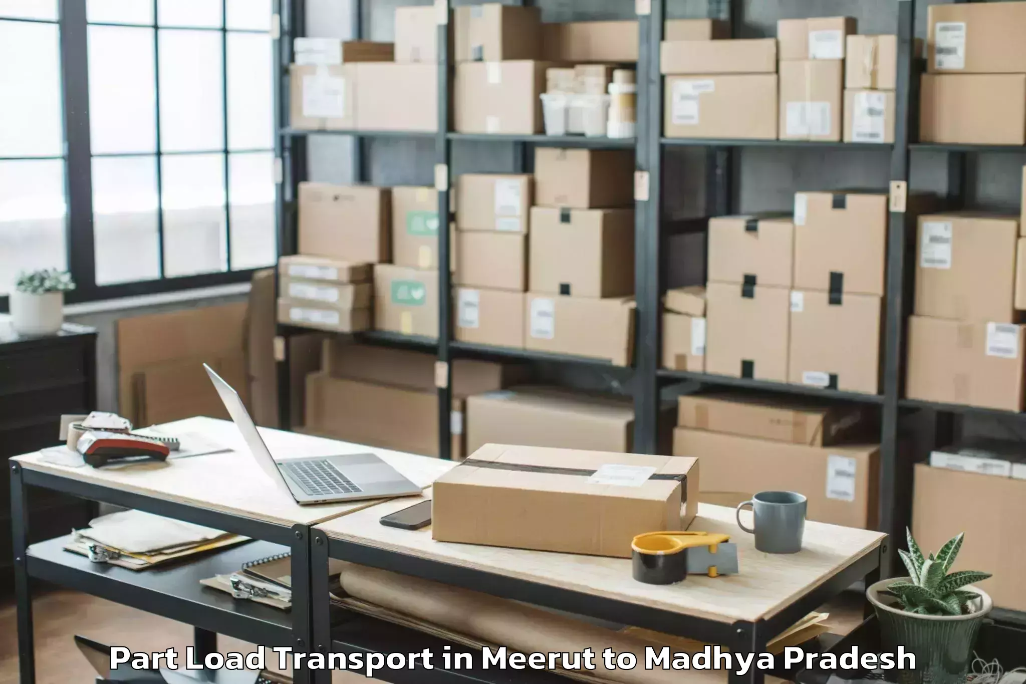 Top Meerut to Harpalpur Part Load Transport Available